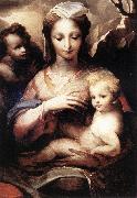 BECCAFUMI, Domenico Madonna with the Infant Christ and St John the Baptist  gfgf Spain oil painting artist